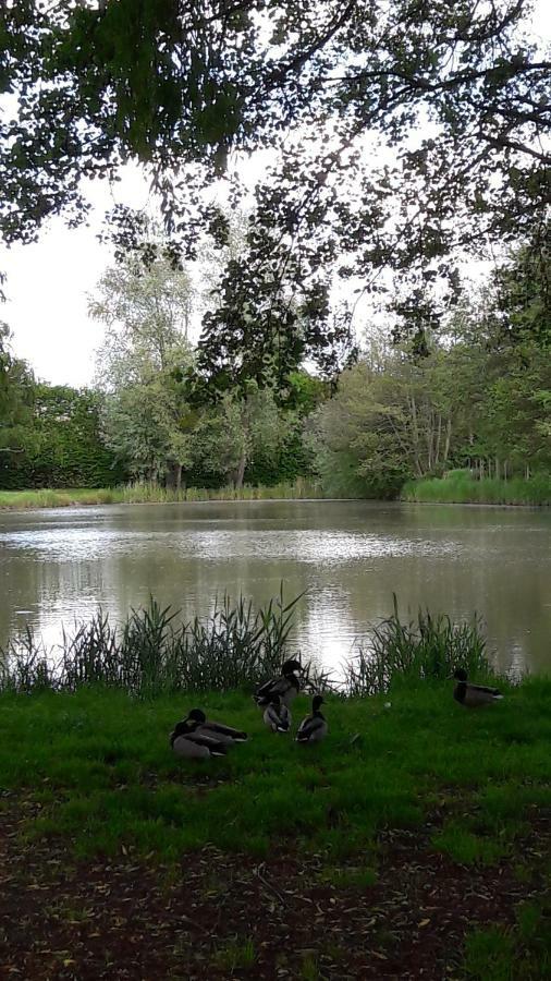 Entre Loire Et Cher Grand Gite "Cote Tilleul" Tour-en-Sologne Buitenkant foto