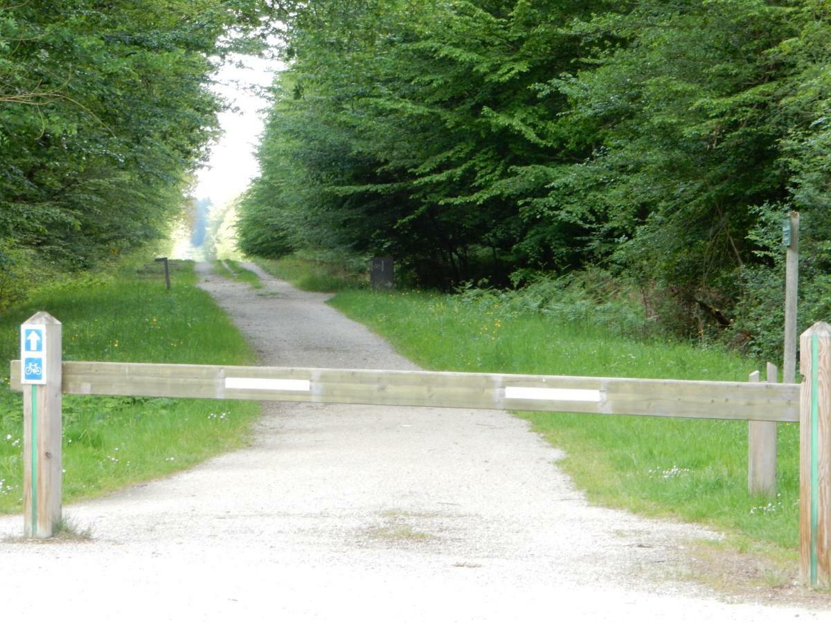 Entre Loire Et Cher Grand Gite "Cote Tilleul" Tour-en-Sologne Buitenkant foto